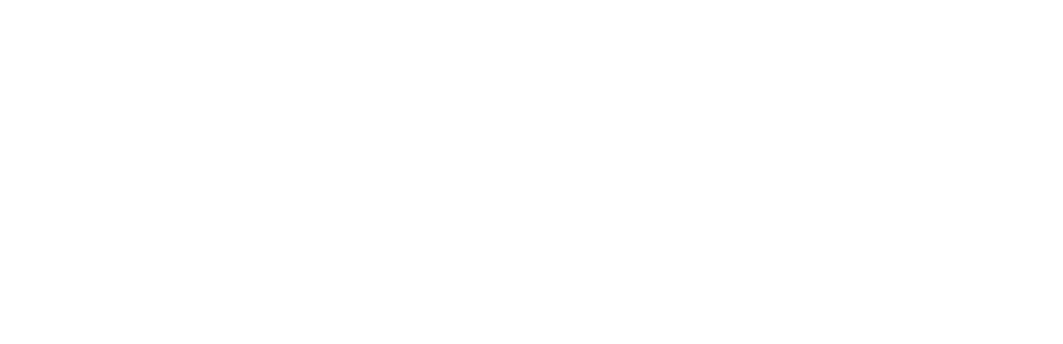 TBS LOGISTICA E TRANSPORTE